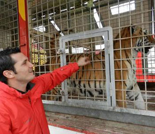 Indre-et-Loire: la famille de Willie Zavatta a le cirque dans la peau à Joué-Lès-Tours
