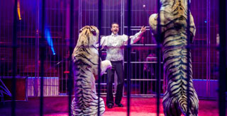 Paris: le Cirque d'Hiver Bouglione, un jeune cirque qui fête ses 160 ans
