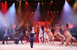 Seine-Saint-Denis: le spectacle 2013 au Bourget du Cirque d'Hiver Bouglione en images