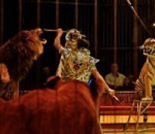 Haute-Garonne: le Cirque Pinder installe son chapiteau à Toulouse