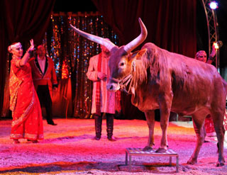 Haut-Rhin: le spectacle 2013 du Cirque Achille Zavatta Fils à Houssen en images à avec les 