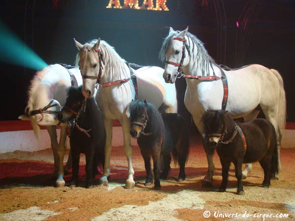 Cirque Amar