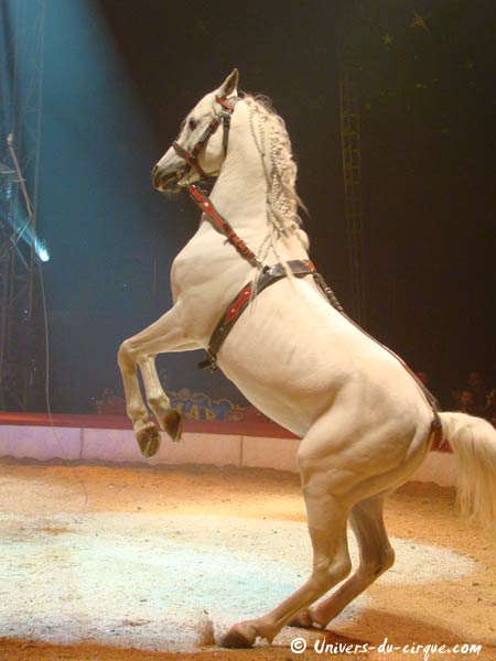 Cirque Amar