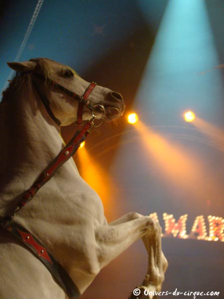 Cirque Amar