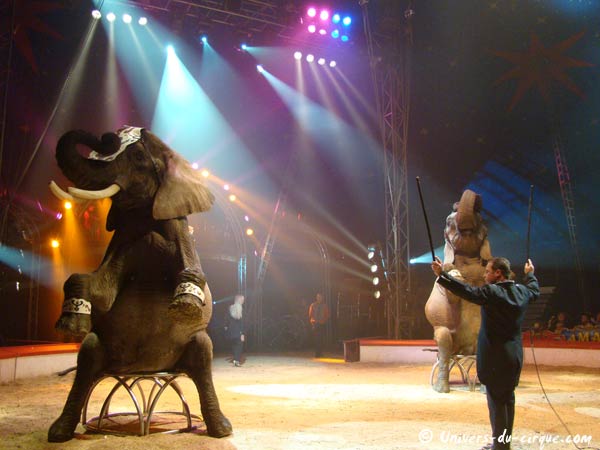 Cirque Amar