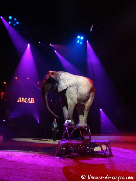 Cirque Amar