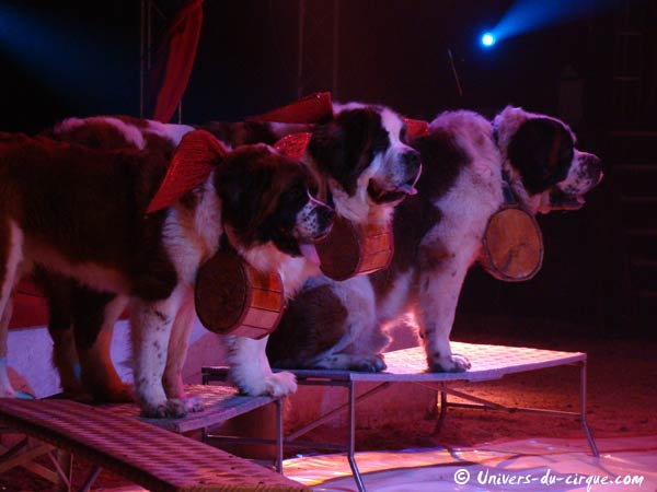 Cirque Amar