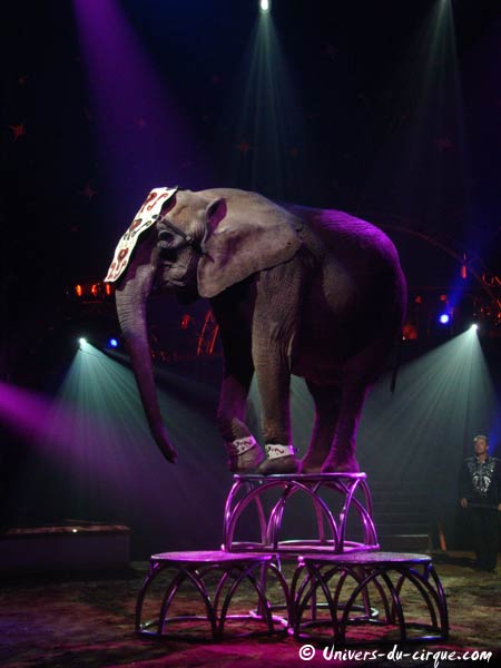 Cirque Amar