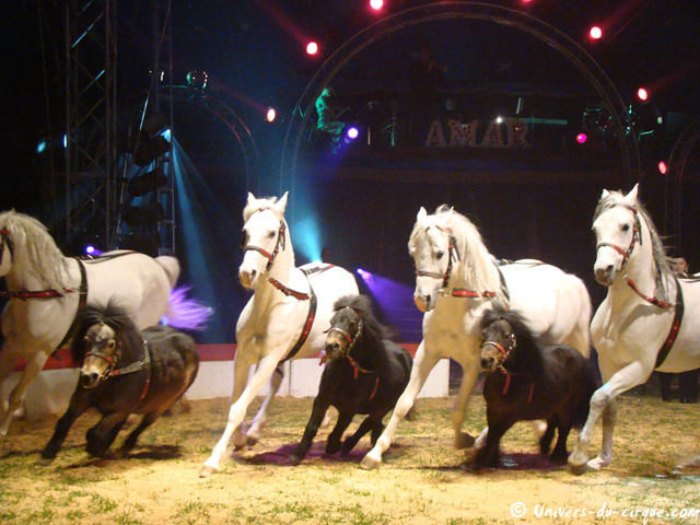 Cirque Amar