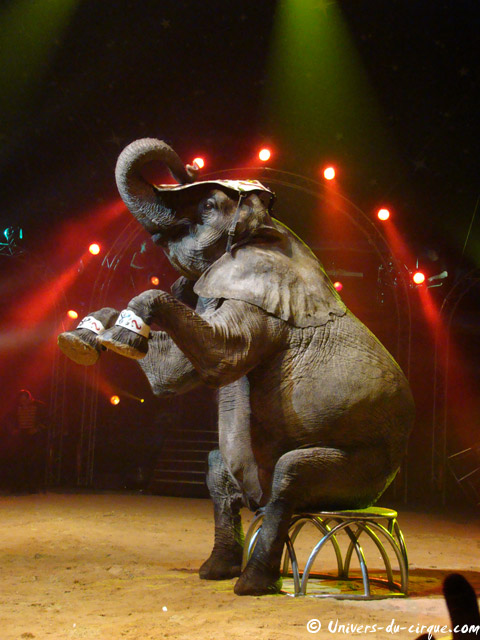 Cirque Amar