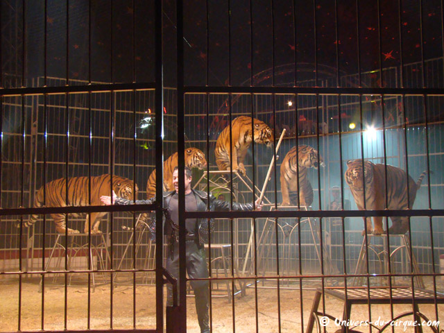 Cirque Amar