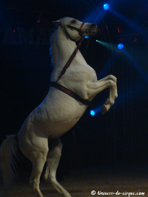 Cirque Amar