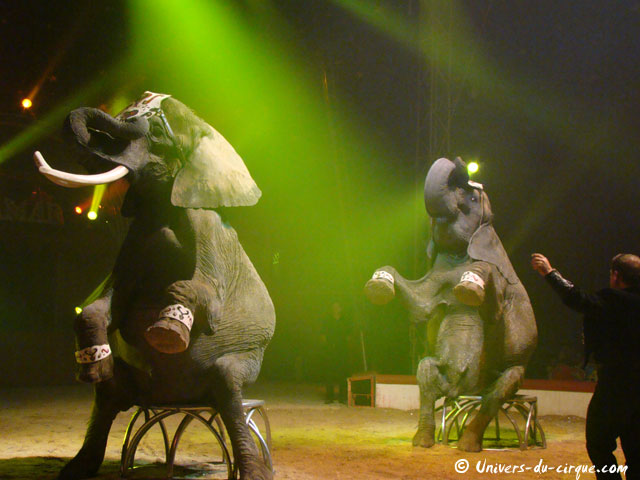 Cirque Amar