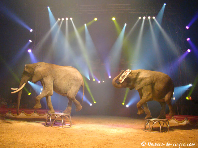 Cirque Amar