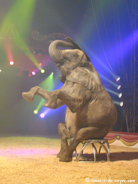 Cirque Amar