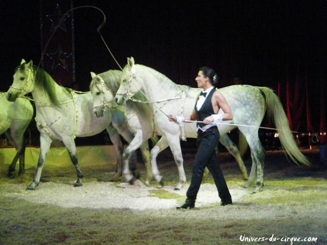 American Circus