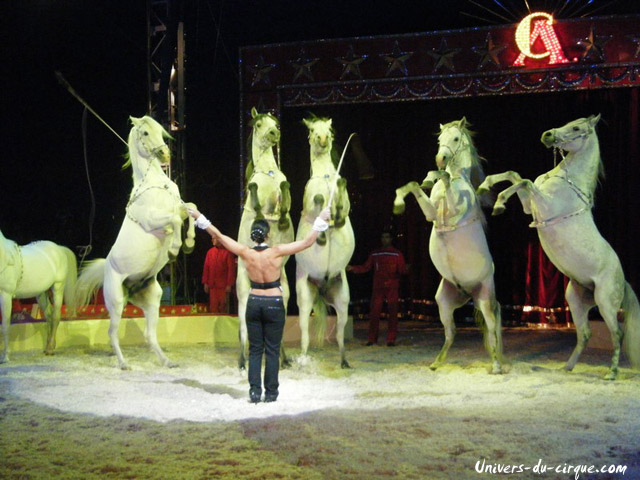 American Circus