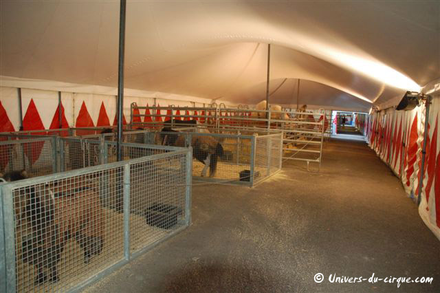 Cirque Arlette Gruss