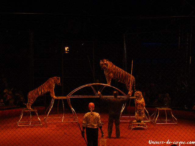Cirque Arlette Gruss