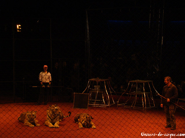 Cirque Arlette Gruss
