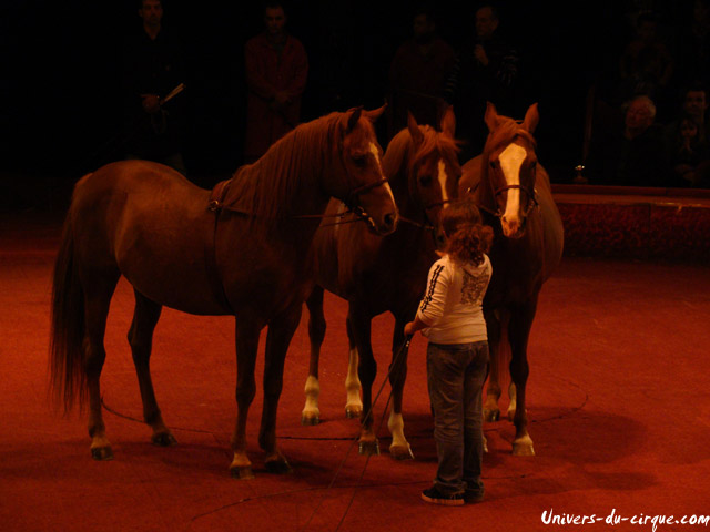 Cirque Arlette Gruss