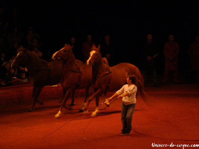 Cirque Arlette Gruss
