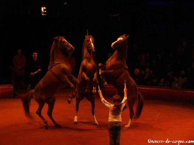Cirque Arlette Gruss