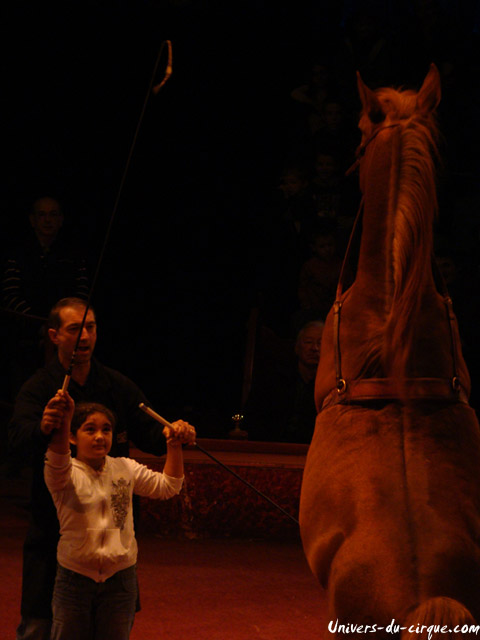 Cirque Arlette Gruss