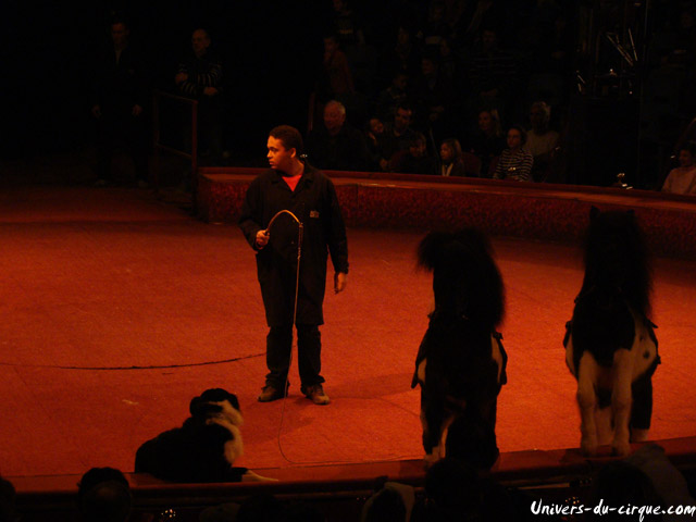 Cirque Arlette Gruss