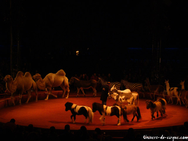 Cirque Arlette Gruss