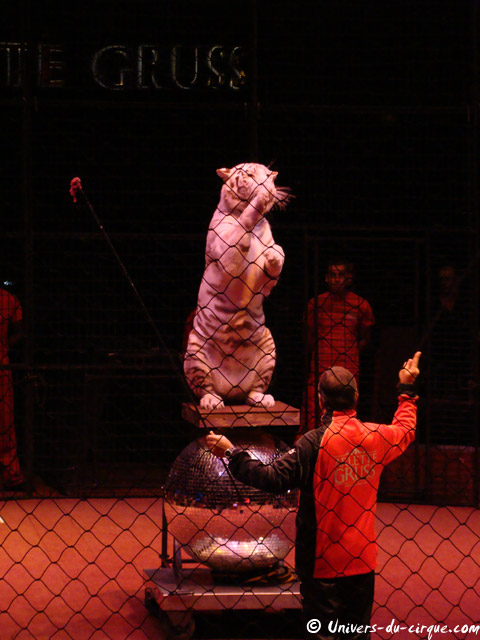 Cirque Arlette Gruss