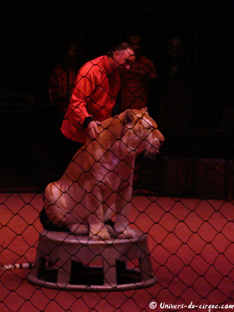 Cirque Arlette Gruss