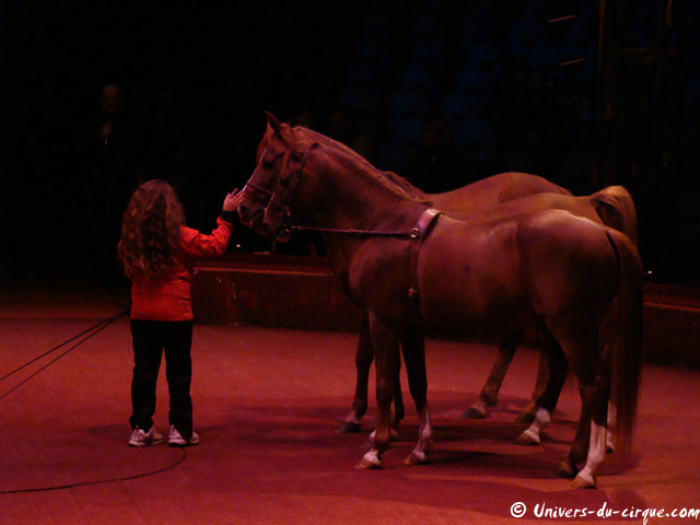Cirque Arlette Gruss