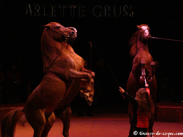 Cirque Arlette Gruss