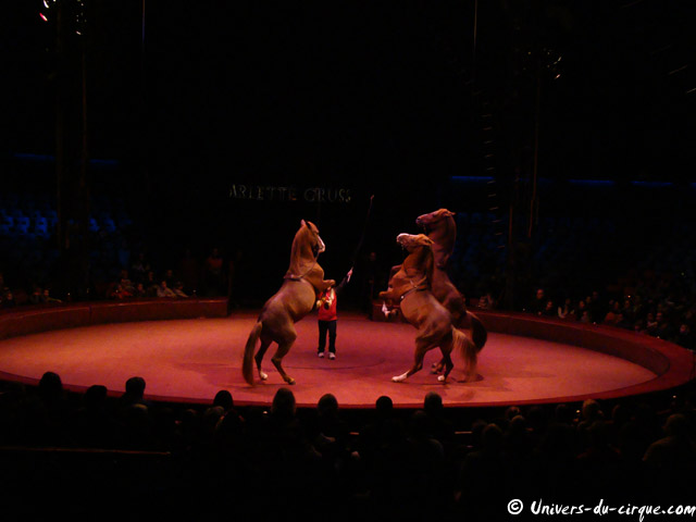 Cirque Arlette Gruss
