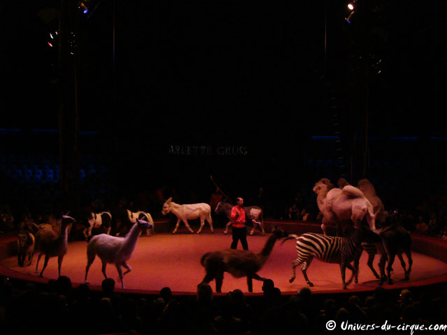Cirque Arlette Gruss