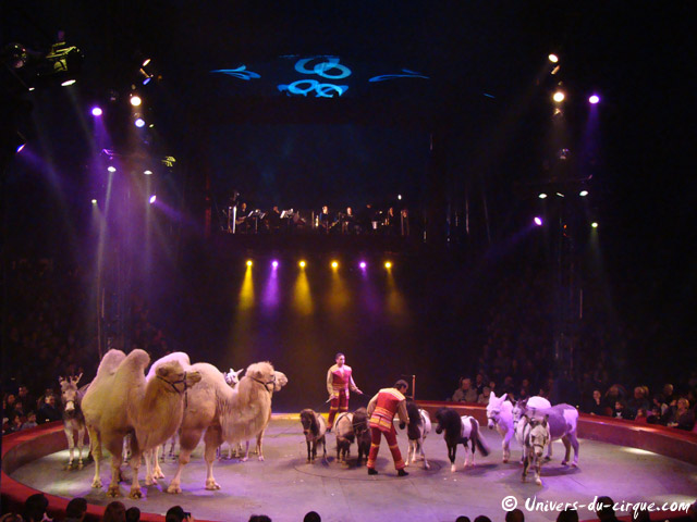 Cirque Arlette Gruss