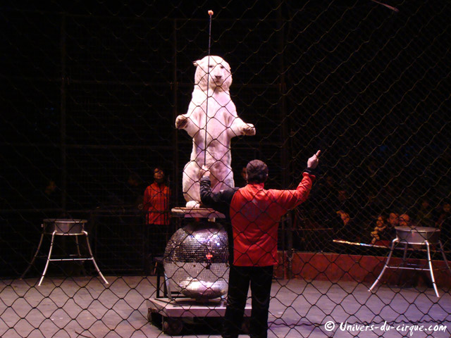 Cirque Arlette Gruss