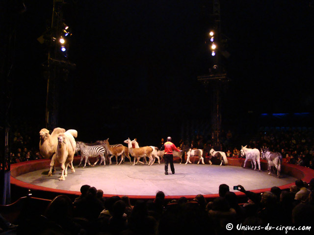 Cirque Arlette Gruss