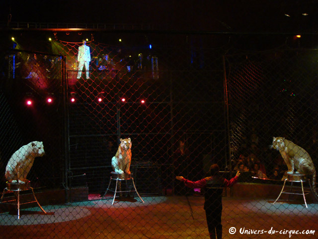 Cirque Arlette Gruss