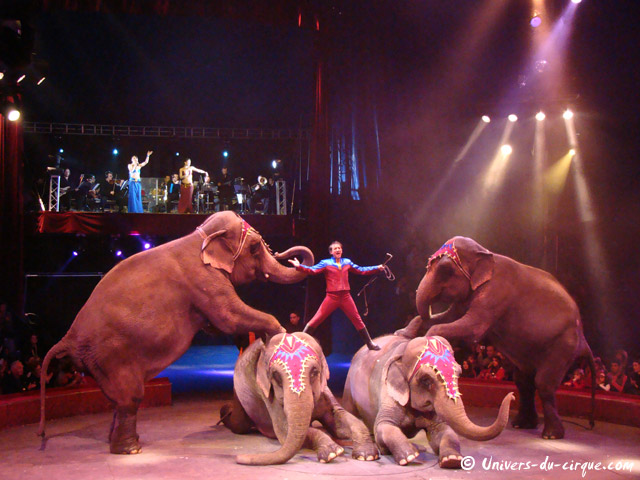 Cirque Arlette Gruss