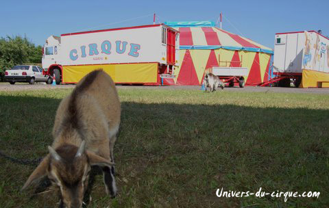 Cirque Cancy