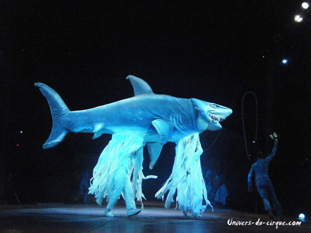 Circo Acquatico