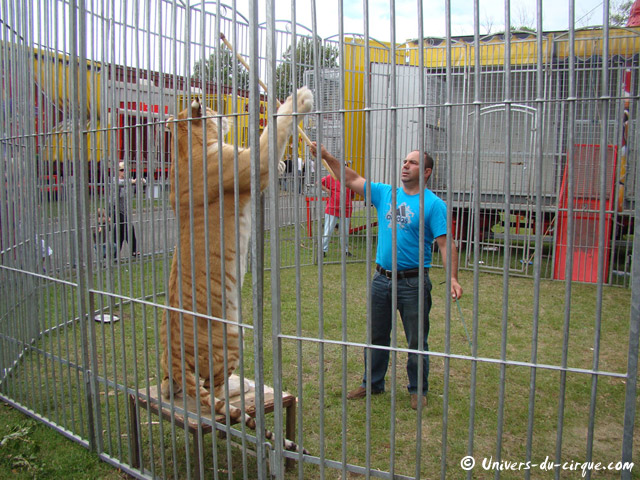 Cirque Franco Belge