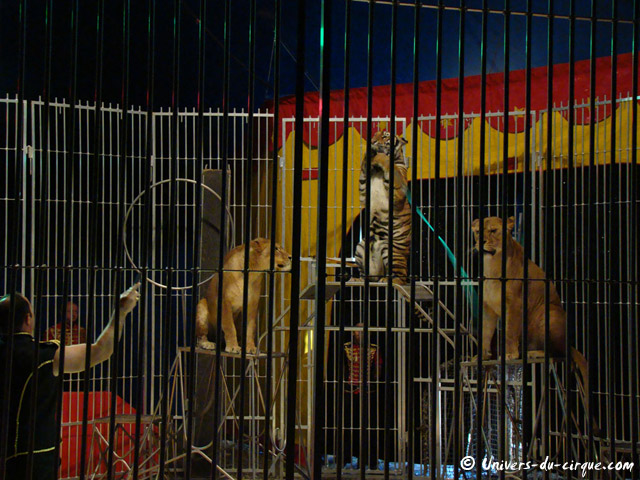 Cirque Franco Belge