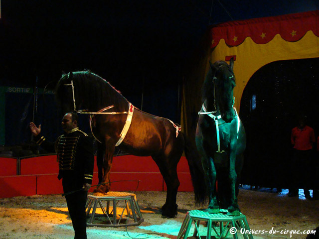 Cirque Franco Belge