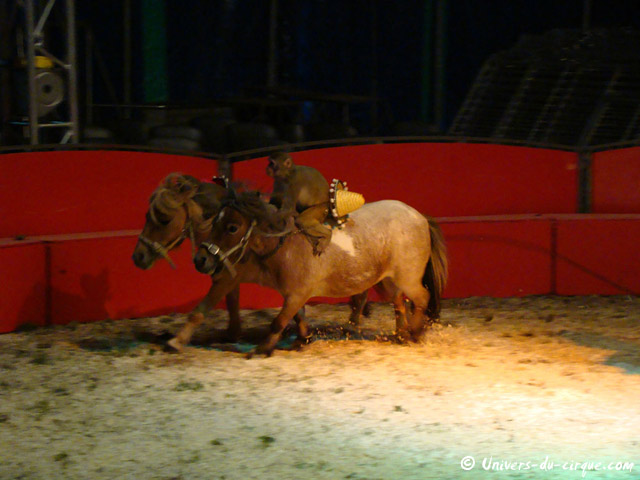 Cirque Franco Belge
