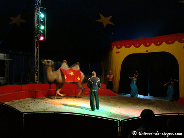 Cirque Franco Belge
