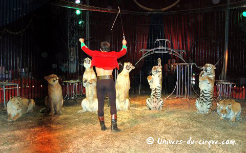 Il Circo di Venise