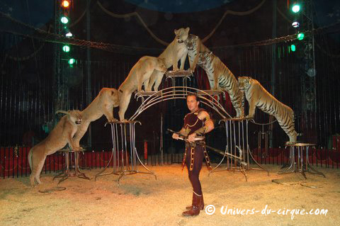 Il Circo di Venise